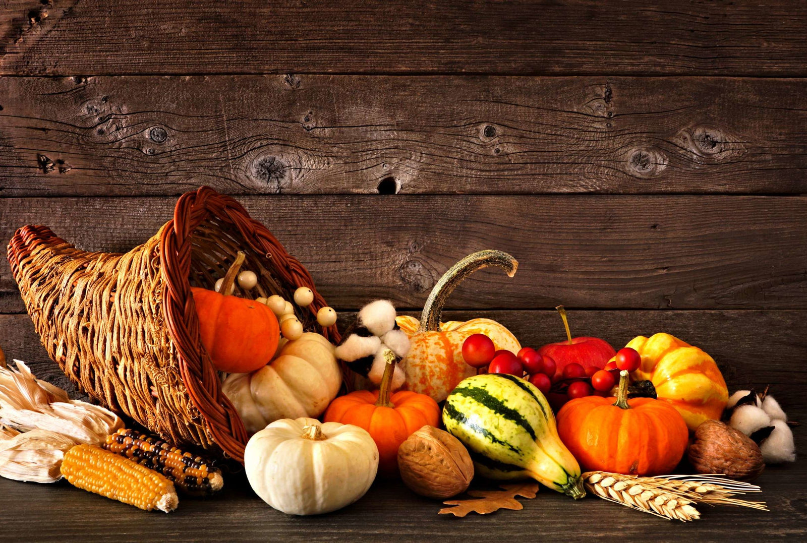 Fun Thanksgiving Activities For Families