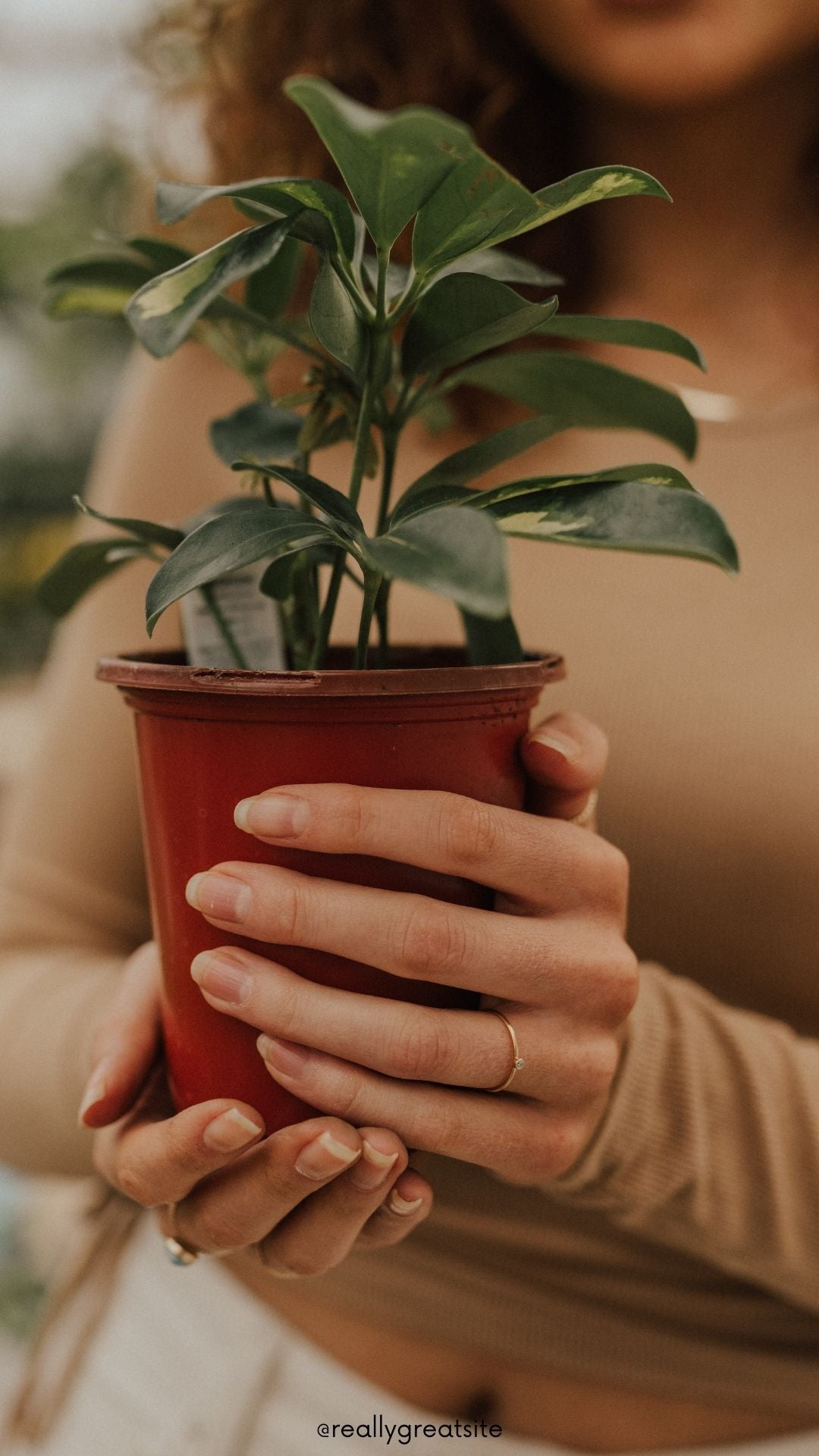 10 ways to celebrate Earth Day